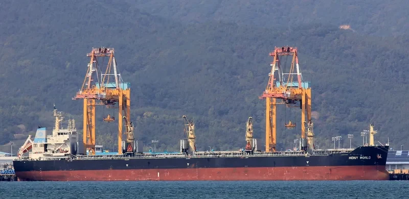 HONY WORLD Bulk Carrier IMO 9583835