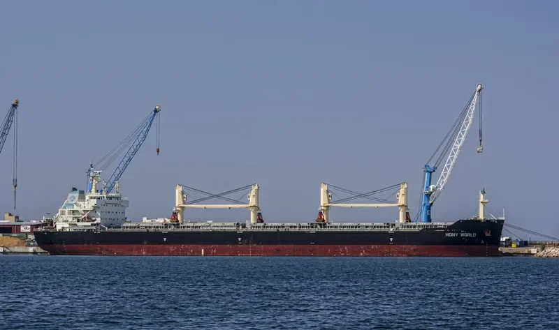HONY WORLD Bulk Carrier IMO 9583835 photo 3