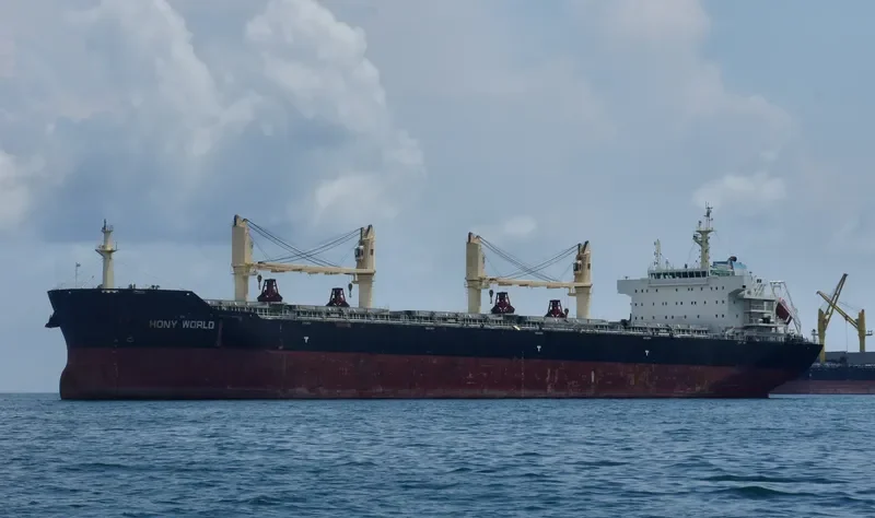 HONY WORLD Bulk Carrier IMO 9583835 photo 5