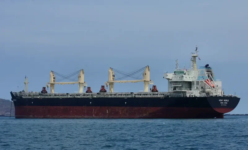 HONY WORLD Bulk Carrier IMO 9583835 photo 6