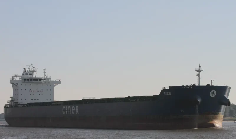 RIZE Bulk Carrier IMO 9584035 photo 9