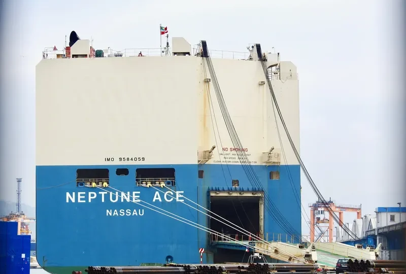NEPTUNE ACE General Cargo IMO 9584059 photo 2