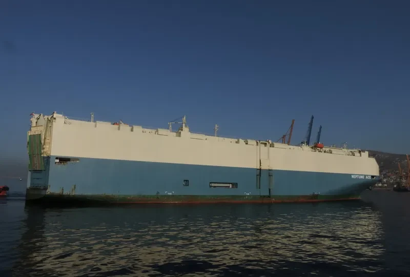 NEPTUNE ACE General Cargo IMO 9584059 photo 10