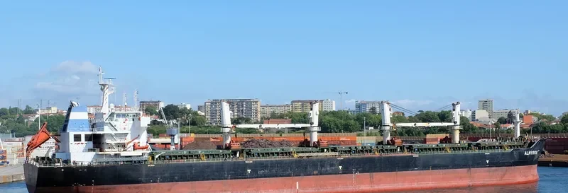 ALMYROS Bulk Carrier IMO 9584138 photo 10