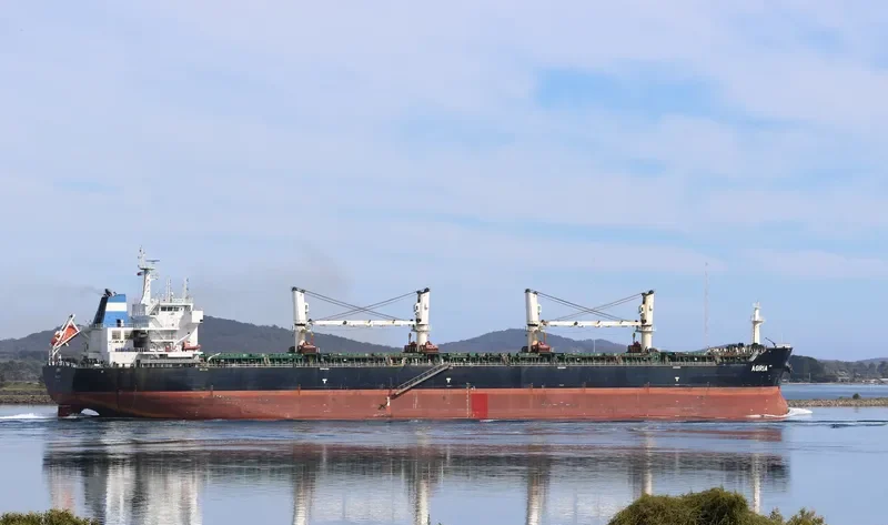 AGRIA Bulk Carrier IMO 9584140
