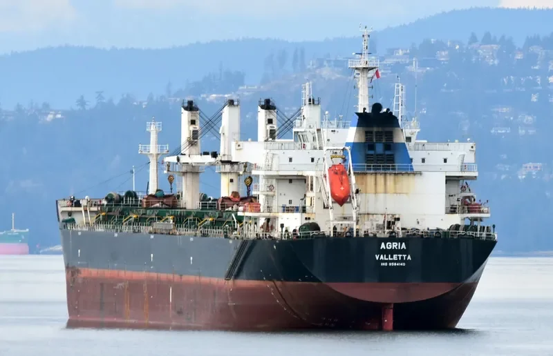 AGRIA Bulk Carrier IMO 9584140 photo 8