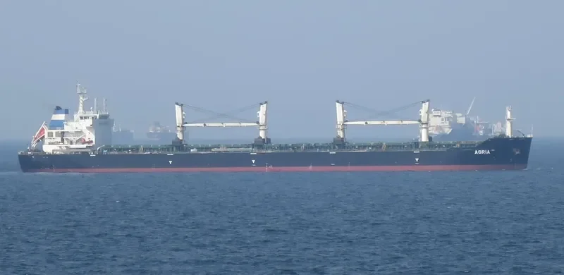 AGRIA Bulk Carrier IMO 9584140 photo 9