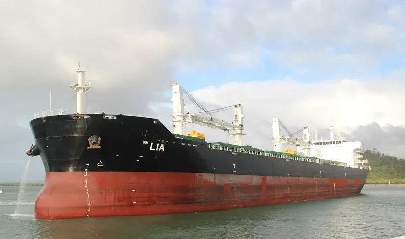 LIA Bulk Carrier IMO 9584152 photo 4