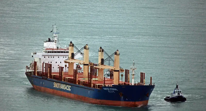 YANGTZE ETERNAL Bulk Carrier IMO 9584188 photo 9