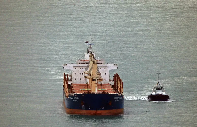 YANGTZE ETERNAL Bulk Carrier IMO 9584188 photo 10