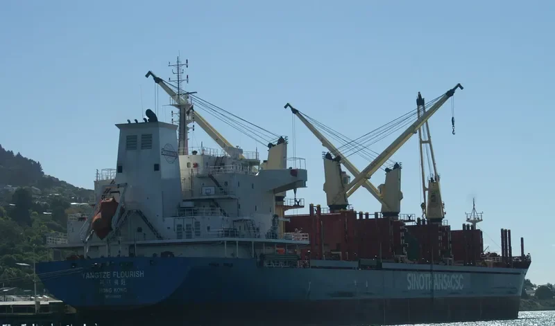 YANGTZE FLOURISH Bulk Carrier IMO 9584229 photo 5