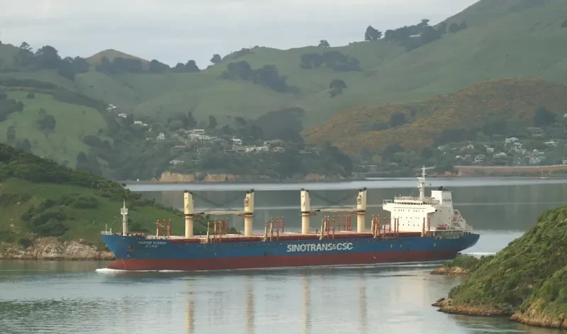 YANGTZE FLOURISH Bulk Carrier IMO 9584229 photo 8