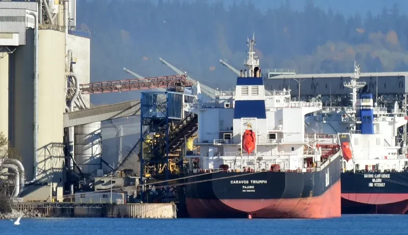 CARAVOS TRIUMPH Bulk Carrier IMO 9584310 photo 4