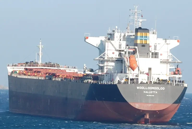WOOLLOOMOOLOO Bulk Carrier IMO 9584499 photo 2