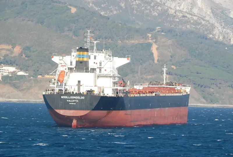 WOOLLOOMOOLOO Bulk Carrier IMO 9584499 photo 3
