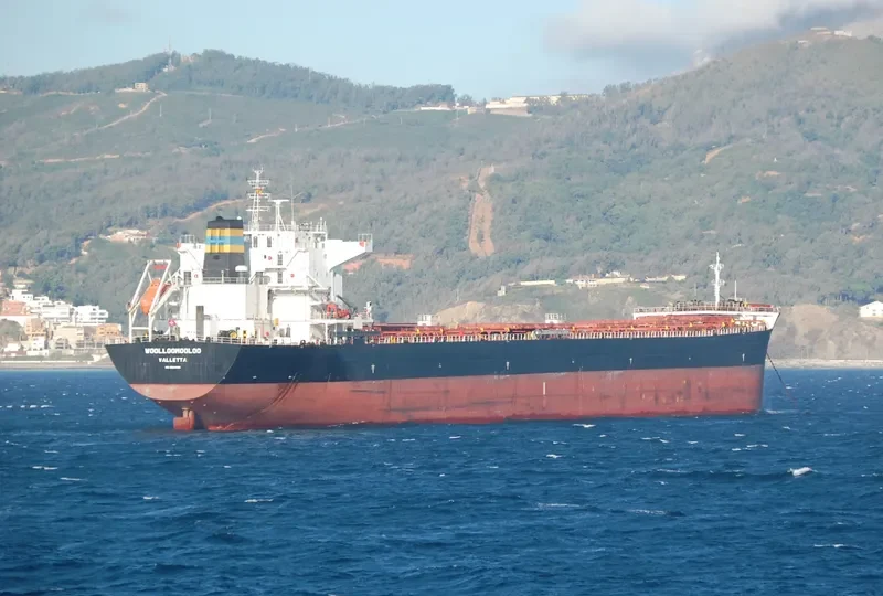 WOOLLOOMOOLOO Bulk Carrier IMO 9584499 photo 4
