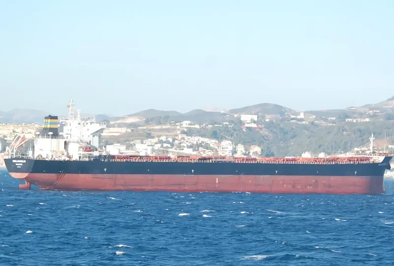 WOOLLOOMOOLOO Bulk Carrier IMO 9584499 photo 5