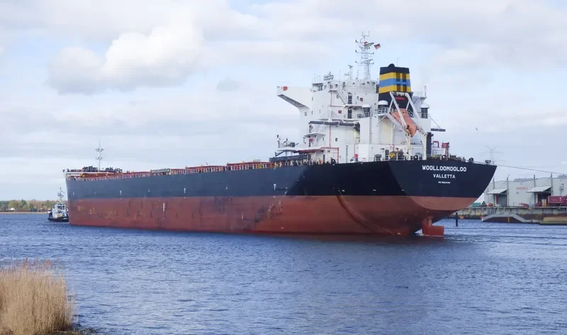 WOOLLOOMOOLOO Bulk Carrier IMO 9584499 photo 9