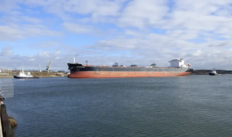 WOOLLOOMOOLOO Bulk Carrier IMO 9584499 photo 10