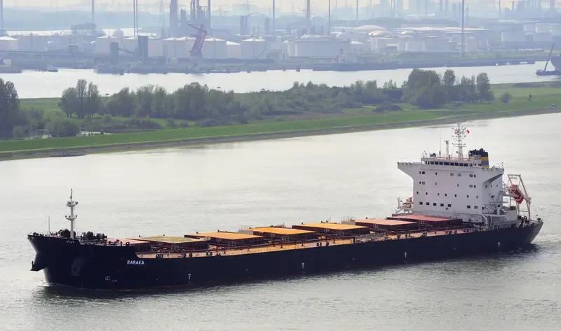 RARAKA Bulk Carrier IMO 9584504 photo 2