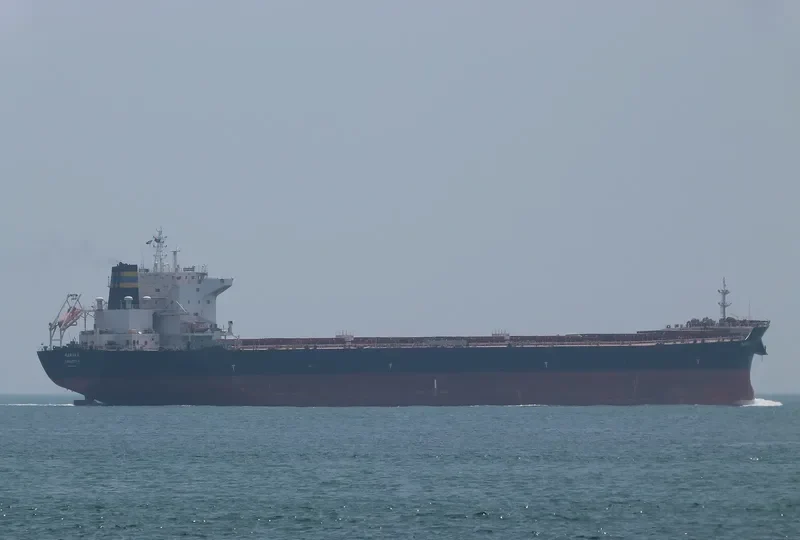 RARAKA Bulk Carrier IMO 9584504 photo 7