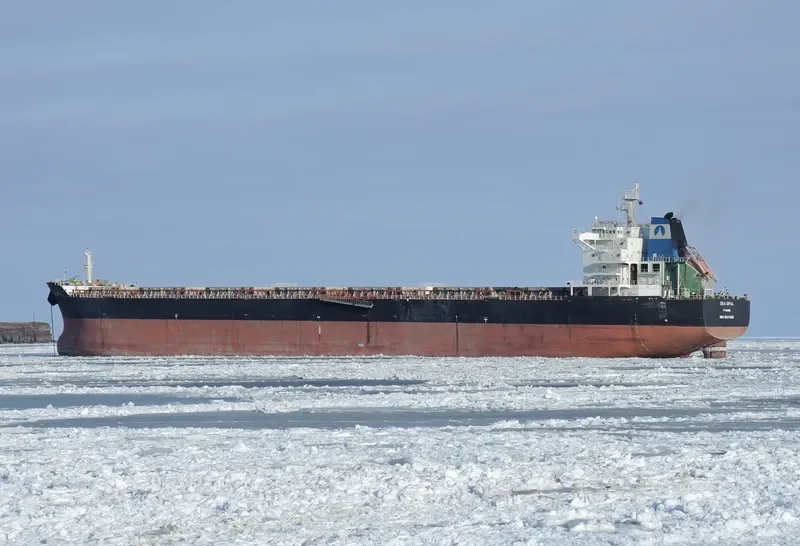 SEA OPAL Bulk Carrier IMO 9584619