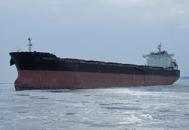 SEA OPAL Bulk Carrier IMO 9584619 photo 2