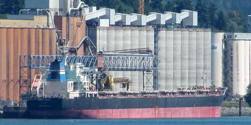 SEA OPAL Bulk Carrier IMO 9584619 photo 4