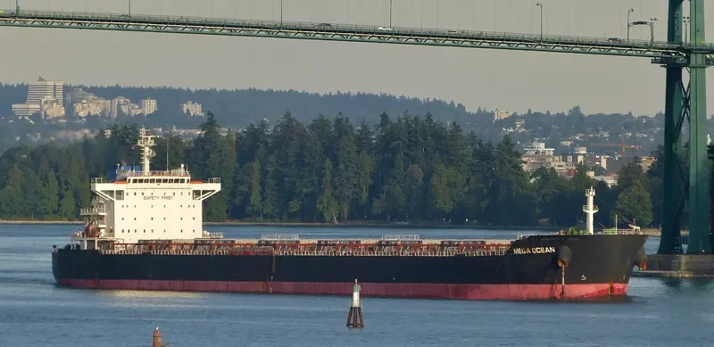 SEA OPAL Bulk Carrier IMO 9584619 photo 7