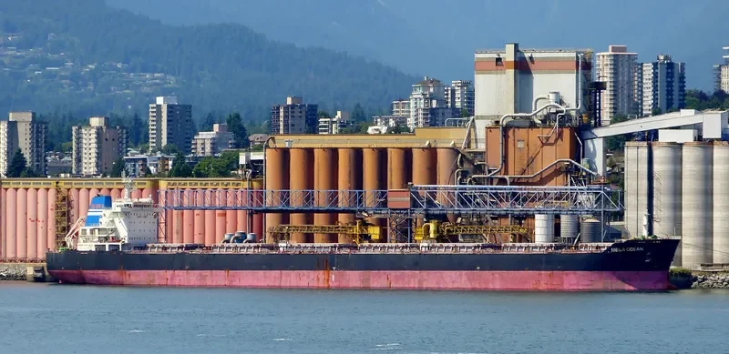 SEA OPAL Bulk Carrier IMO 9584619 photo 8