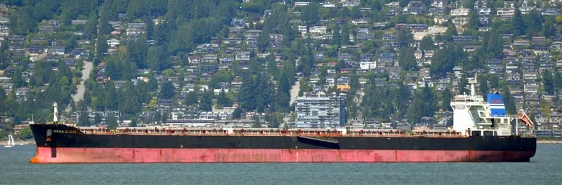 SEA OPAL Bulk Carrier IMO 9584619 photo 9