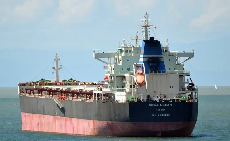 SEA OPAL Bulk Carrier IMO 9584619 photo 10