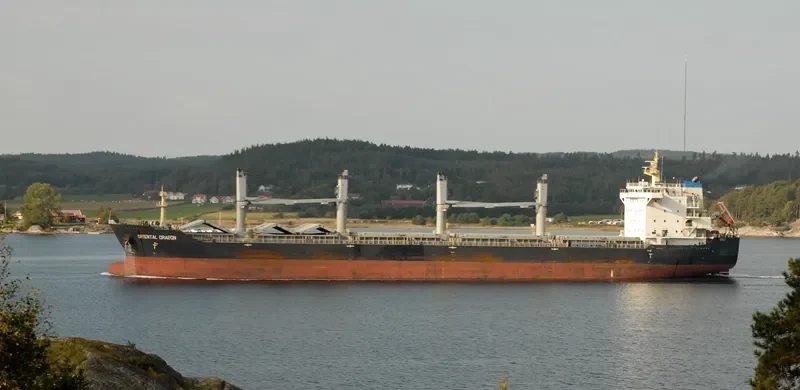 SATYA MANDIRI General Cargo IMO 9584786