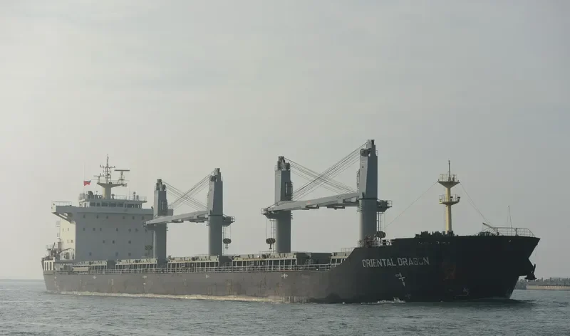 DONG FANG WEI YE Bulk Carrier IMO 9584798 photo 2