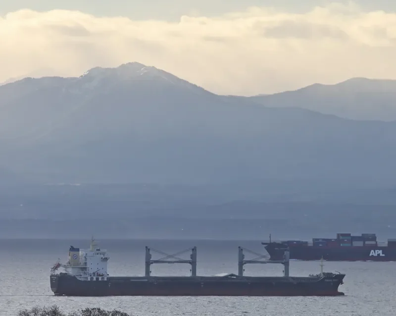 DONG FANG WEI YE Bulk Carrier IMO 9584798 photo 3