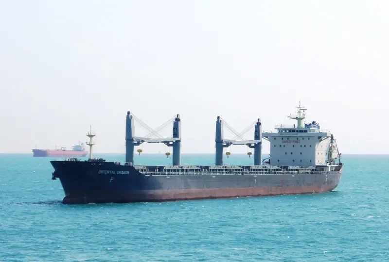 DONG FANG WEI YE Bulk Carrier IMO 9584798 photo 4