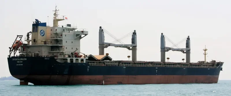 DONG FANG WEI YE Bulk Carrier IMO 9584798 photo 5