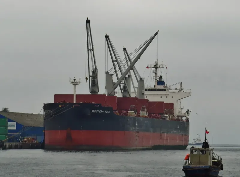 INDIGO CEFIRO Bulk Carrier IMO 9584891