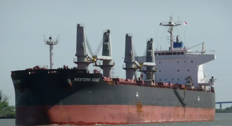 INDIGO CEFIRO Bulk Carrier IMO 9584891 photo 4