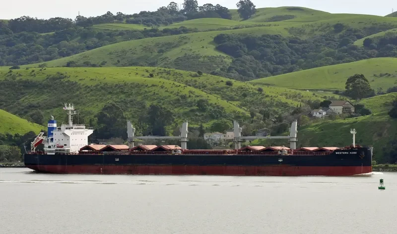 INDIGO CEFIRO Bulk Carrier IMO 9584891 photo 6