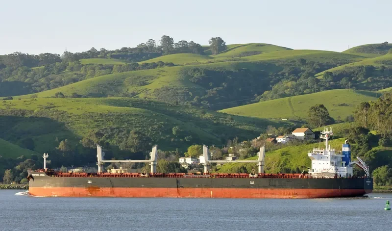 INDIGO CEFIRO Bulk Carrier IMO 9584891 photo 7