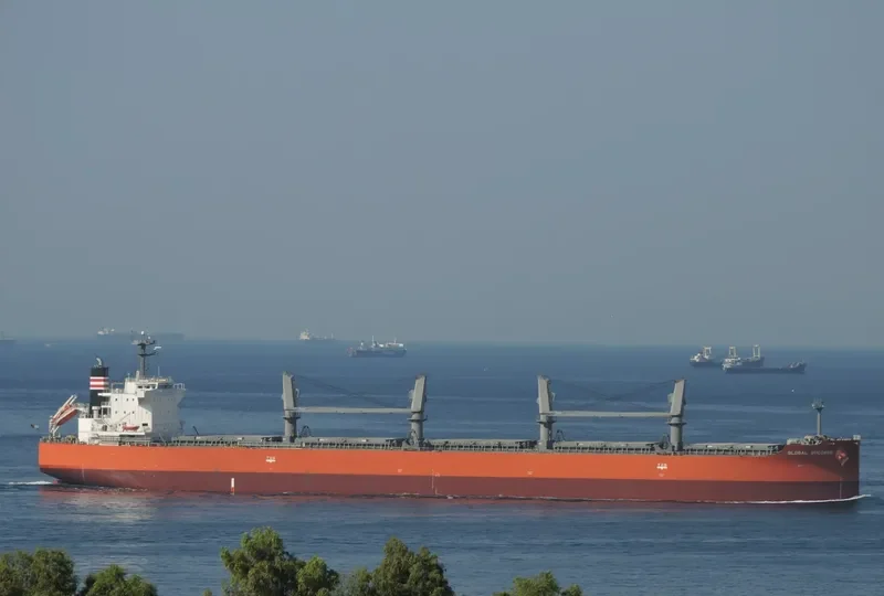 GLOBAL SUCCESS Bulk Carrier IMO 9584906 photo 3