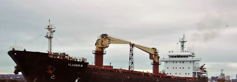 AFINA I Bulk Carrier IMO 9585015 photo 2