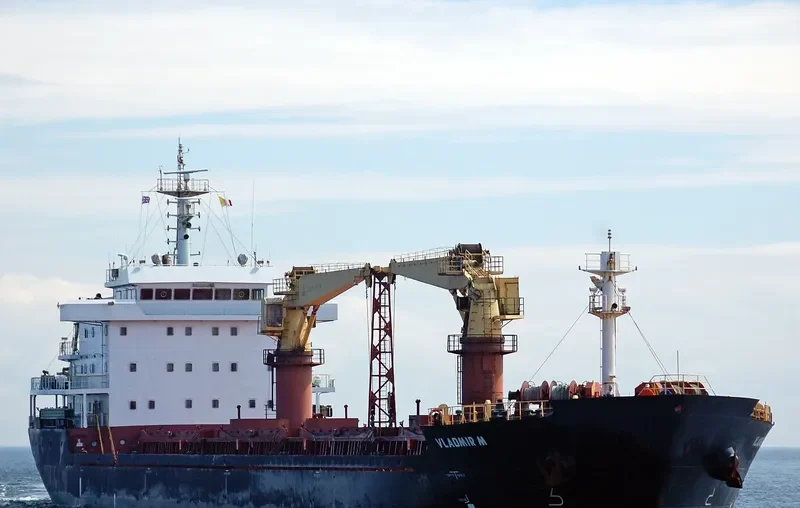AFINA I Bulk Carrier IMO 9585015 photo 5