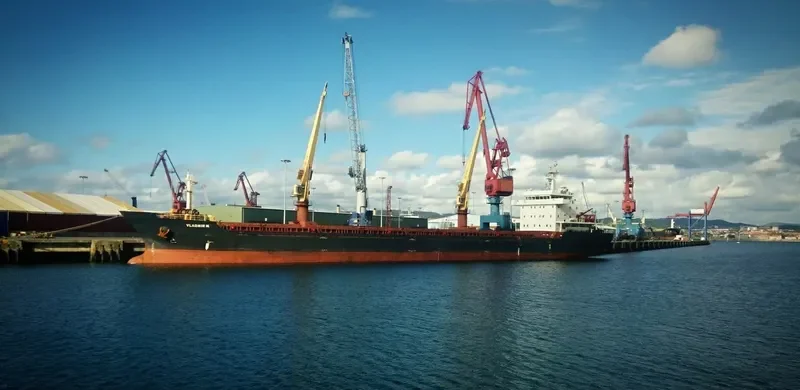 AFINA I Bulk Carrier IMO 9585015 photo 8