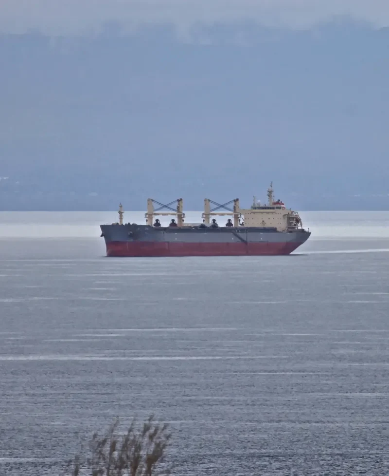 HG SINGAPORE Bulk Carrier IMO 9585314 photo 8