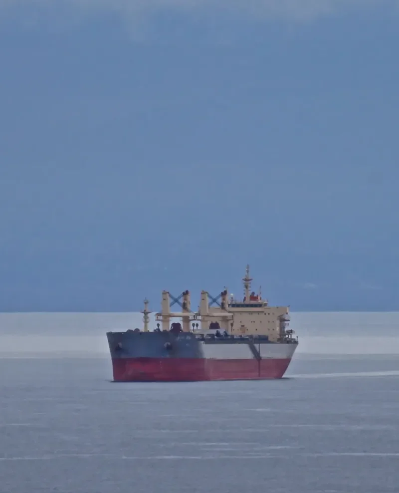 HG SINGAPORE Bulk Carrier IMO 9585314 photo 9
