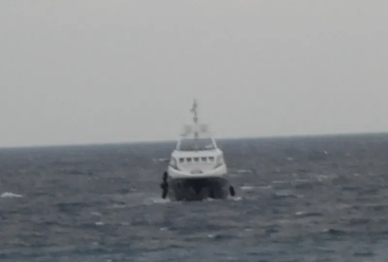 SAN BERNARDO General Cargo IMO 9585352 photo 8