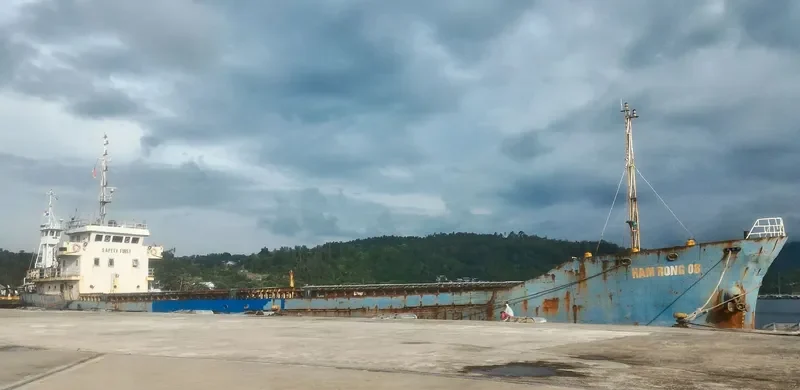 HAM RONG 8 General Cargo IMO 9585455 photo 2