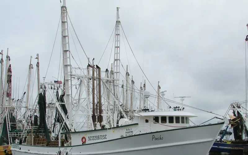 PONCHO General Cargo IMO 9585467